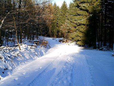 Hier liegt der Schnee länger als in den Tälern - Vergrößerung bei Klick